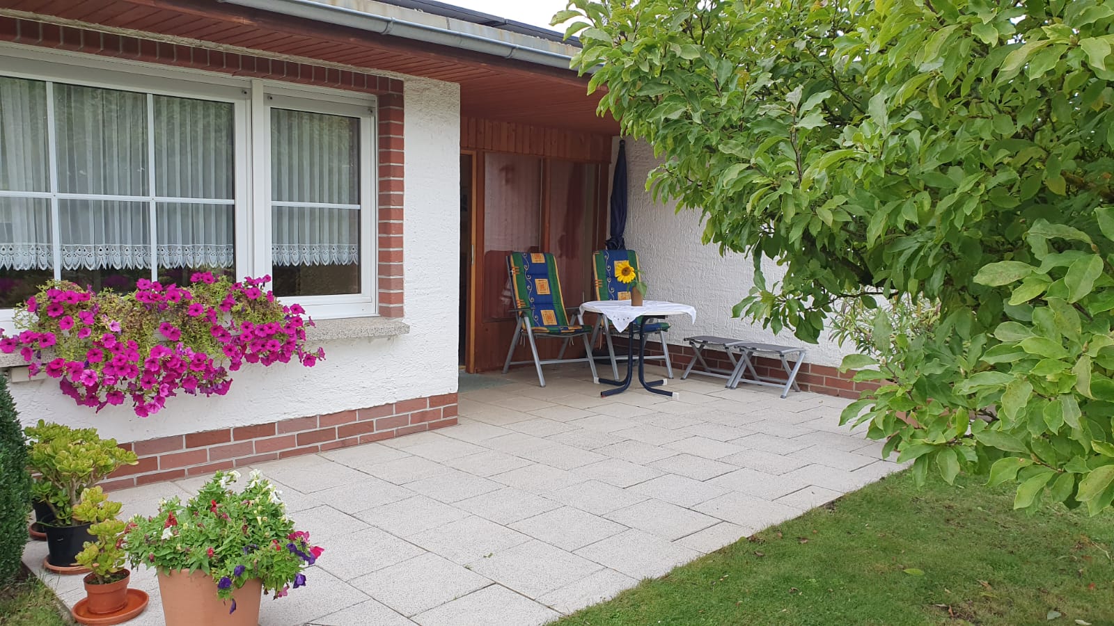 Ferienhaus Zippließ — Terrasse mit Eingang in Bad Kösen